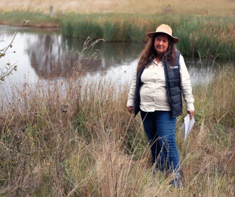 Woman standing in a paddock next to a farm dam.